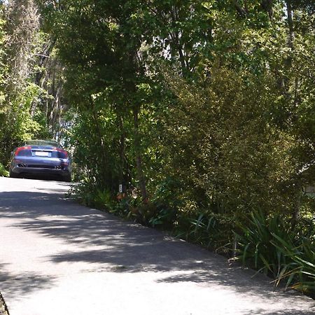 Bay Of Islands Holiday Apartments Paihia Room photo